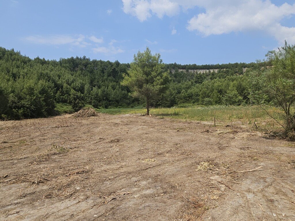 Verkauf Land 4100 m² auf Kassandra (Chalkidiki)