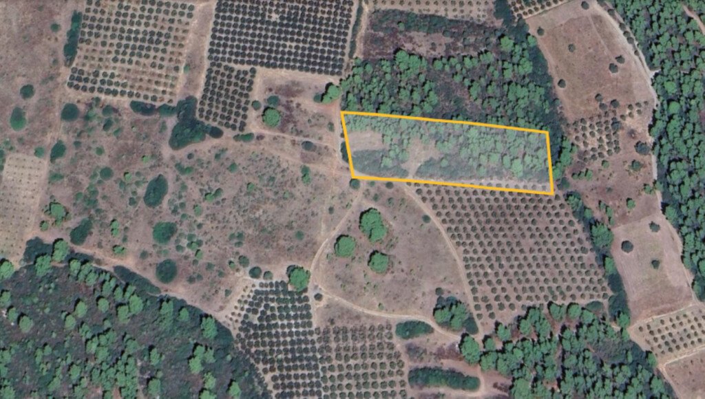 Chalkidiki: Verkauf Land 10000 m² auf Sithonia (Chalkidiki) 
