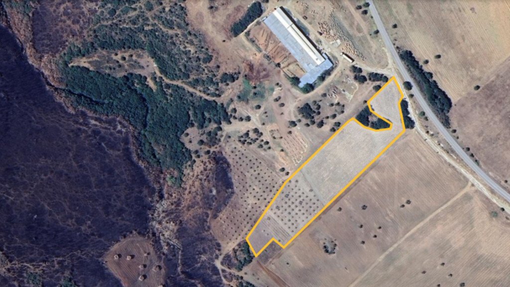 Chalkidiki: Verkauf Land 11500 m² in Chalkidiki 