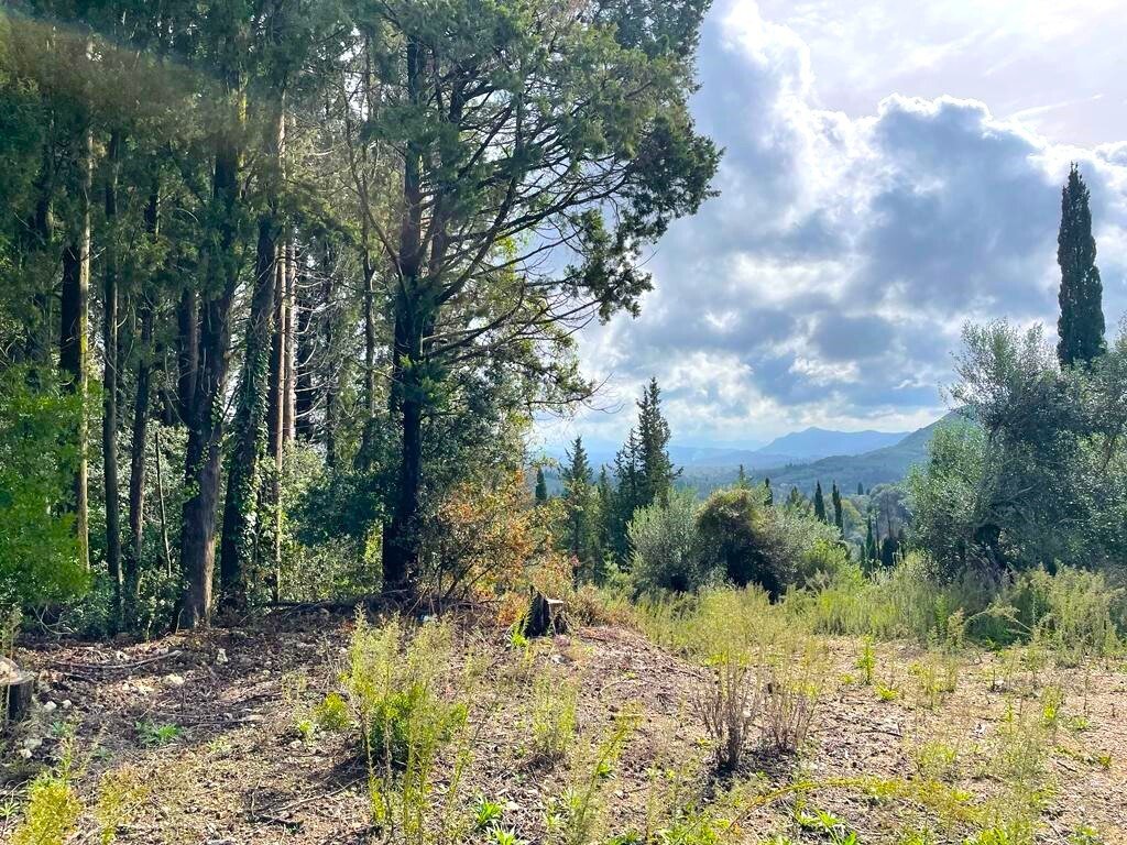Korfu: Verkauf Land 12000 m² auf Korfu 