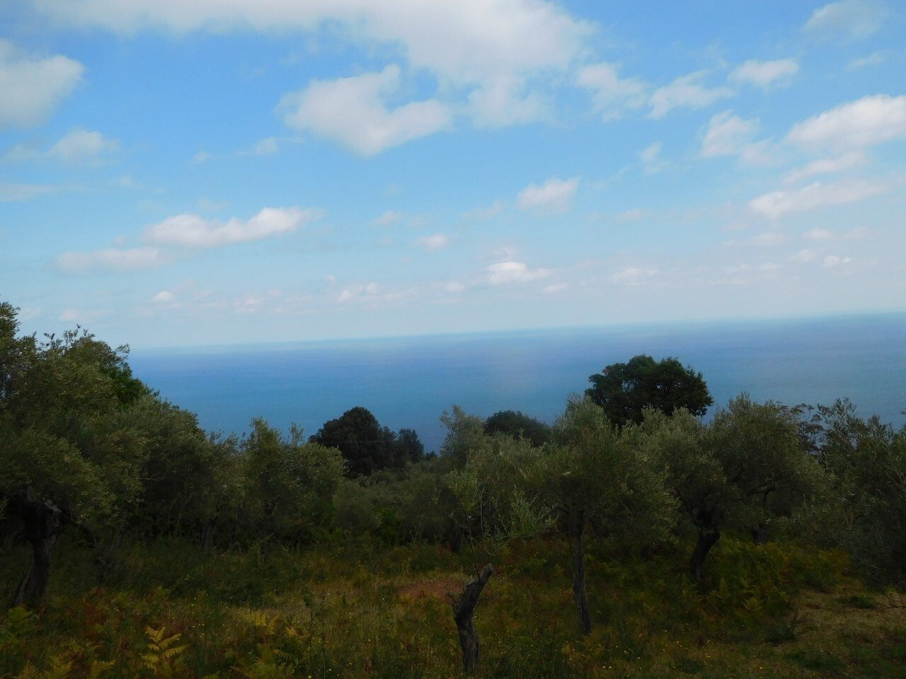 Verkauf Land 4020 m² in Volos - Pilion