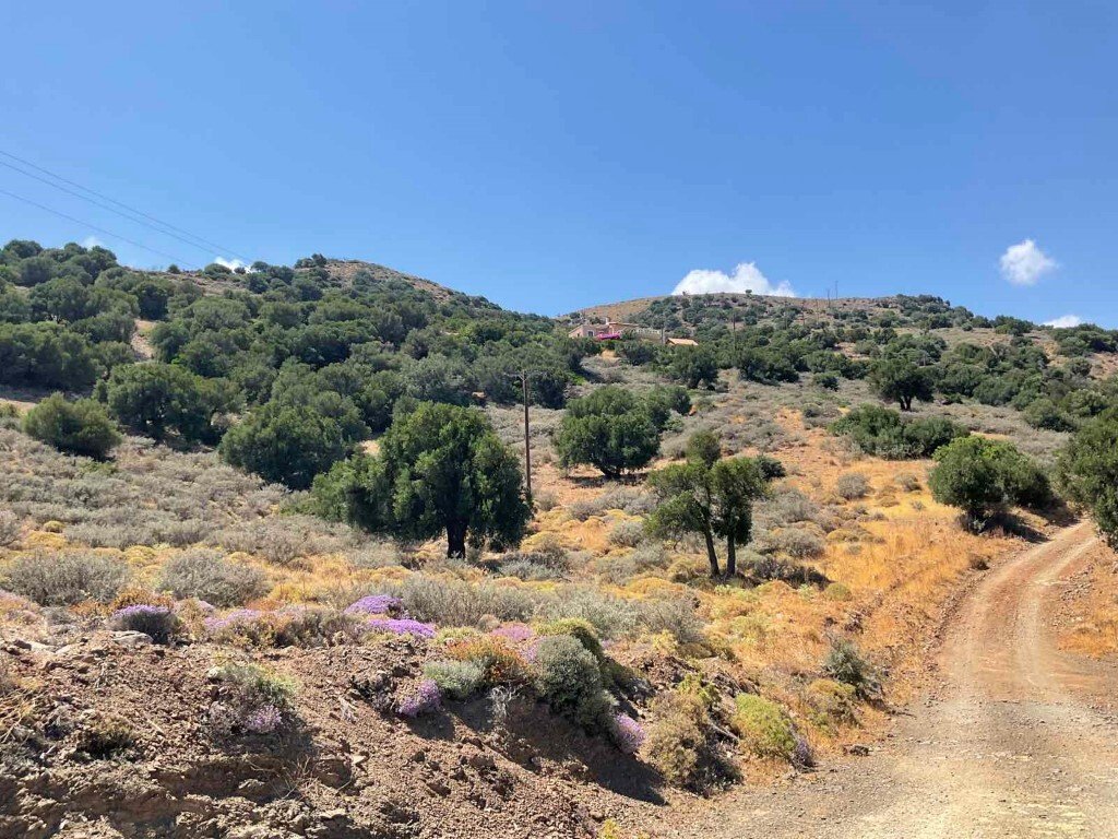 Verkauf Land 32687 m² auf Kreta