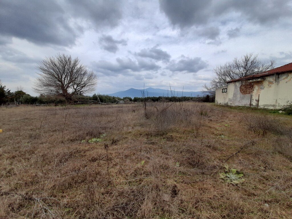 Verkauf Gewerbeimmobilie 650 m² in den Vororten von Thessaloniki