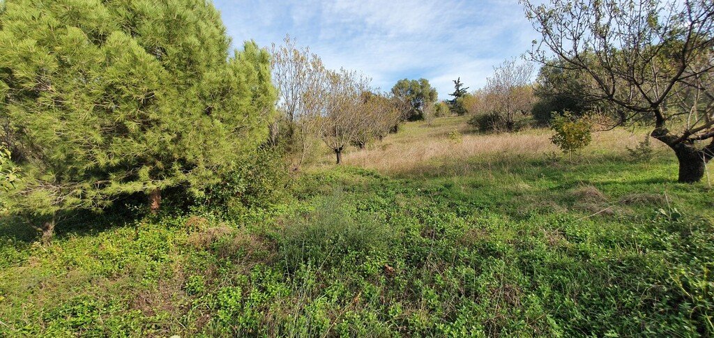 Verkauf Land 2000 m² in Chalkidiki