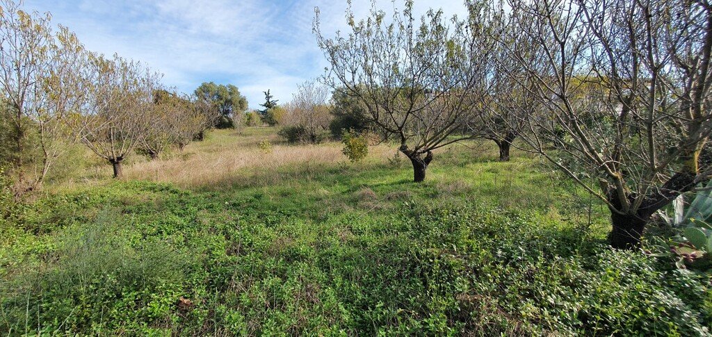 Verkauf Land 2000 m² in Chalkidiki