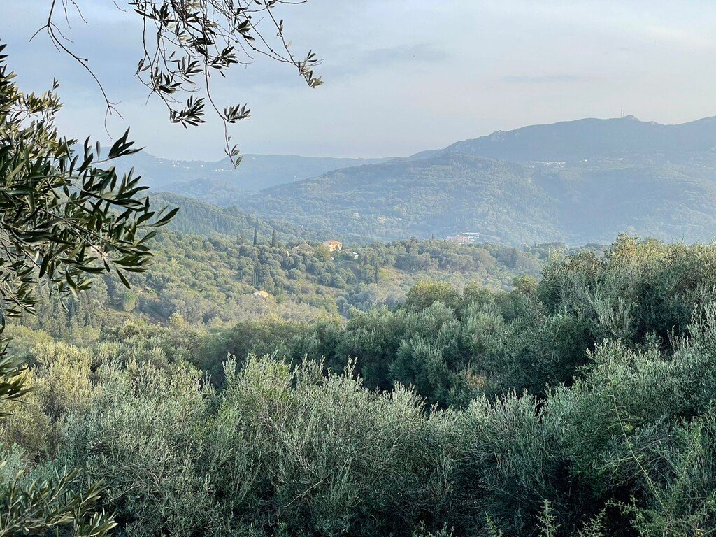 Verkauf Land 4027 m² auf Korfu