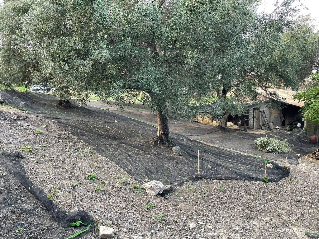 Verkauf Land 4027 m² auf Korfu