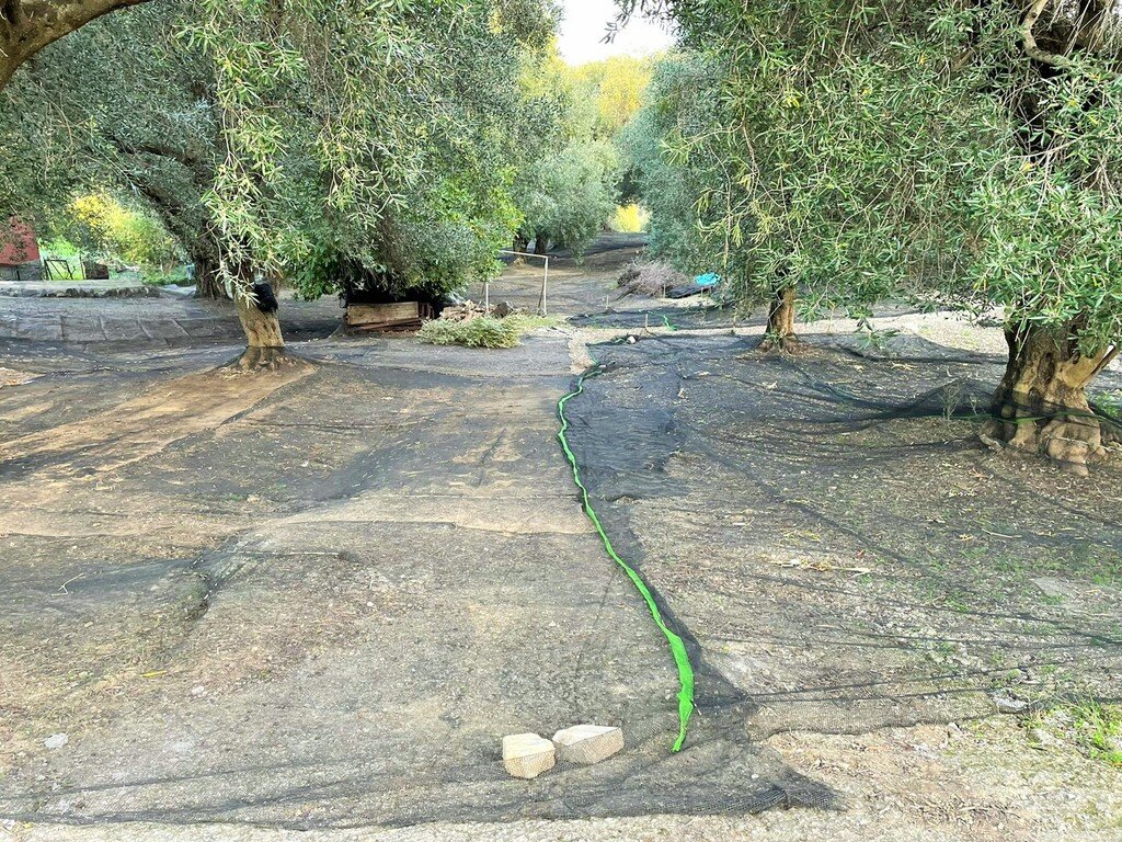 Verkauf Land 4027 m² auf Korfu