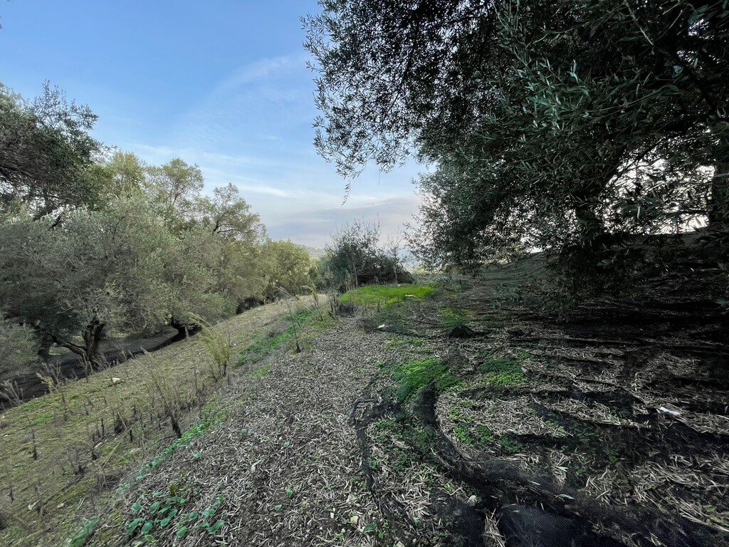 Verkauf Land 4027 m² auf Korfu