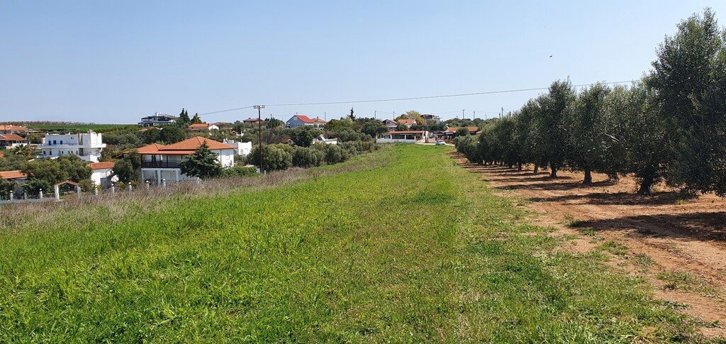 Verkauf Land 10500 m² auf Kassandra (Chalkidiki)