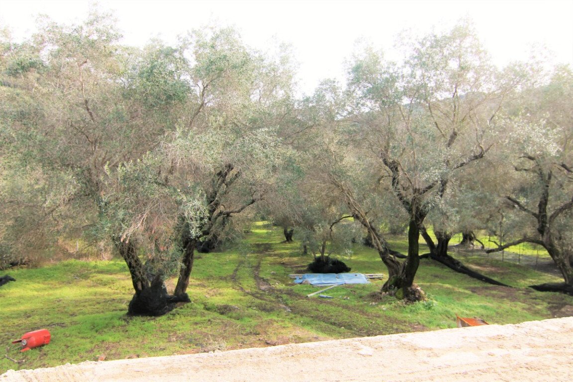 Verkauf Einfamilienhaus 240 m² auf Korfu