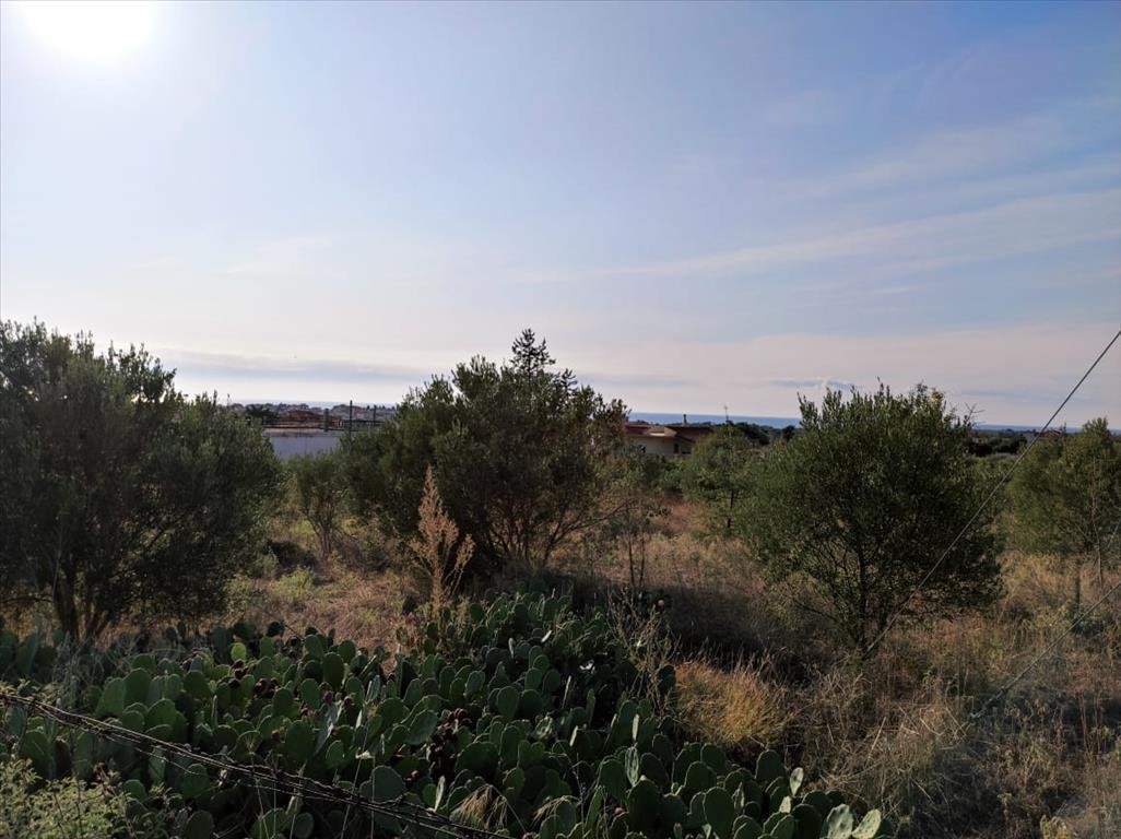 Verkauf Land 3685 m² in Chalkidiki