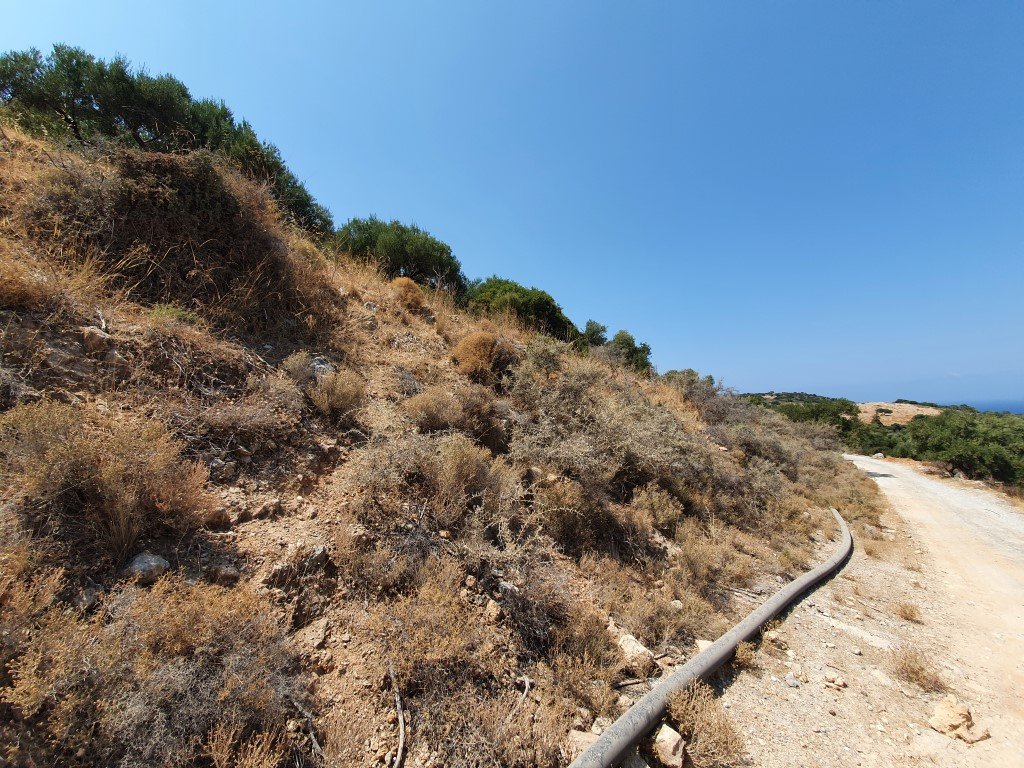 Verkauf Land 9363 m² auf Kreta