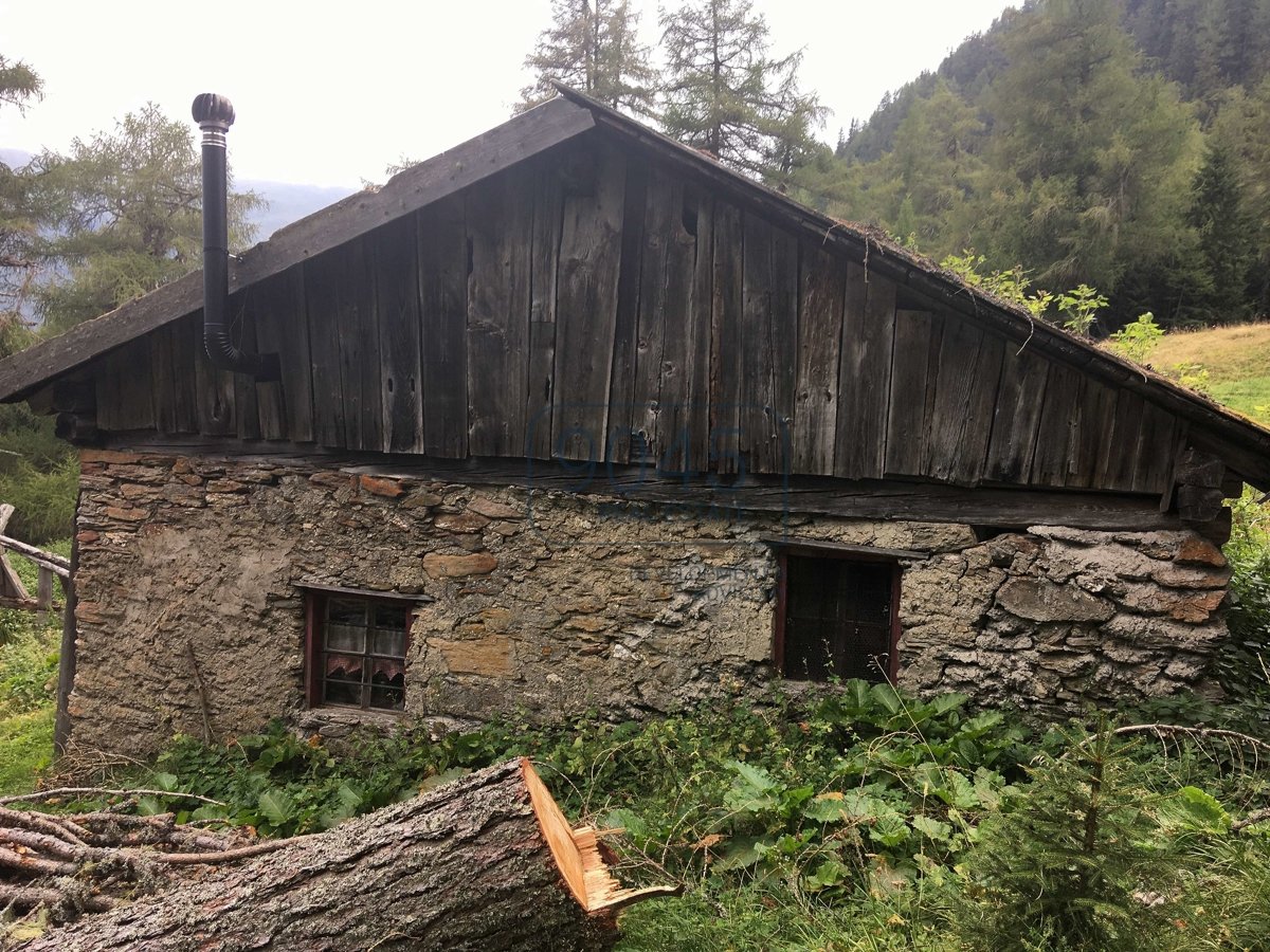 Einzigartig: Alm- und Waldeigentum samt potenzieller Jagdmöglichkeit am Brenner - Südtirol