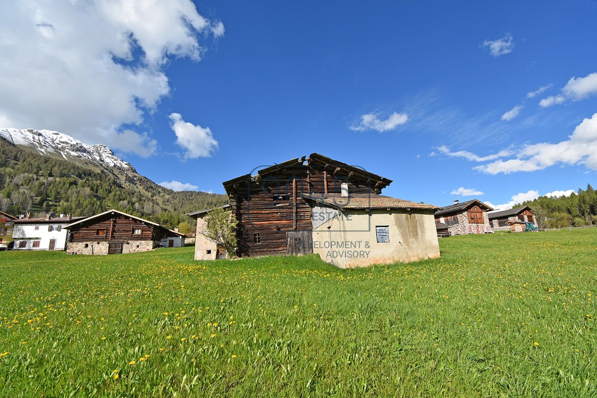 Traditioneller Bauernhof mitten im Grünen zum Ausbauen Bellamonte inmitten der Dolomiten