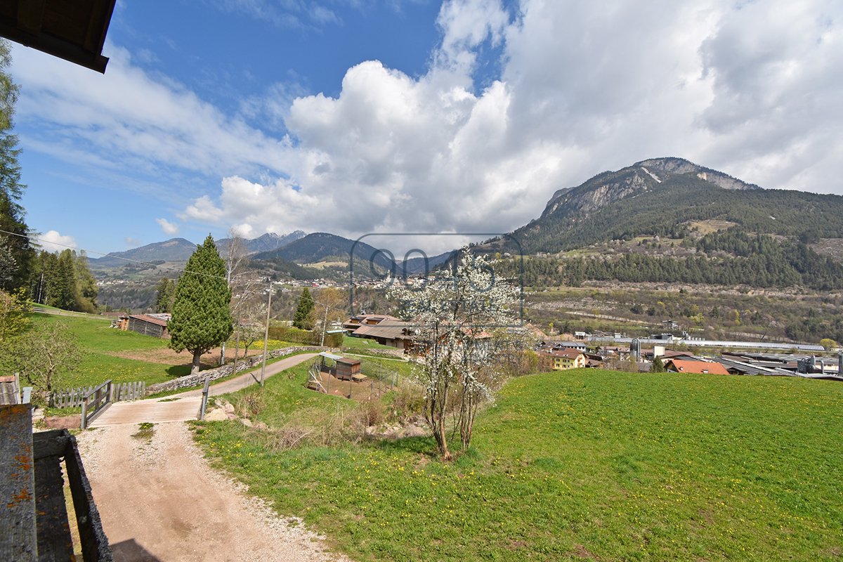 Traditional farmhouse in the green in Tesero - South Tyrol / Trentino