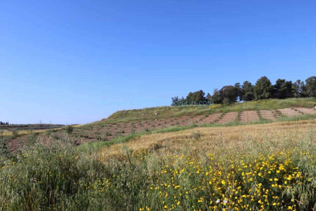 Frenaros: Large plot of land for sale in Picturesque area of Frenaros - LFRE152.<br /><br />Located near the church of Panagia Asprvouniotissa with an establ... 