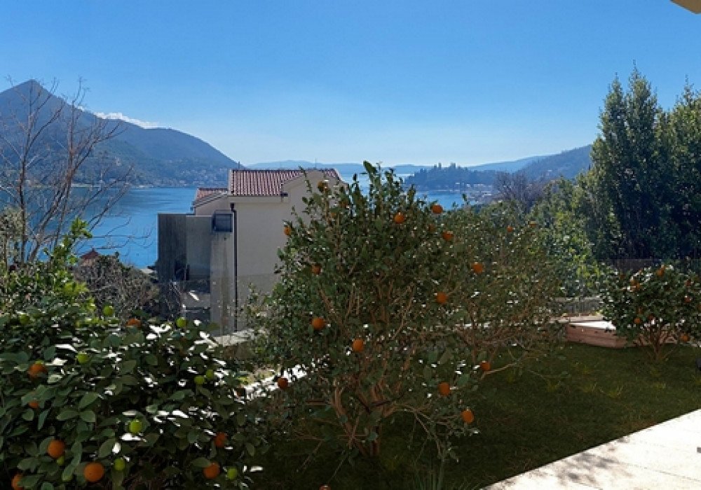 Boka Bay of Kotor, Kamenari district. New apartments in a club-type apartment building.The distance to the sea is 300m.The house has four floors, a...