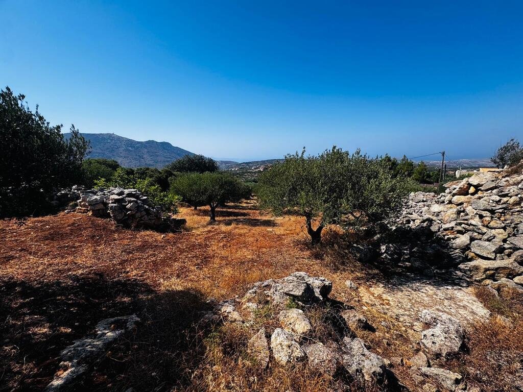 Verkauf Land 2500 m² auf Kreta