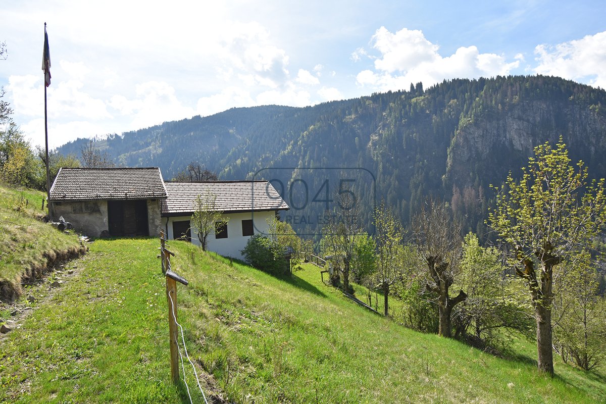 Bauernhof in Panoramalage zu sanieren in Predazzo inmitten der Dolomiten - Südtirol / Trentino