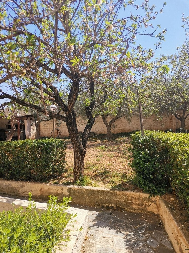 Verkauf Einfamilienhaus 520 m² in Attika