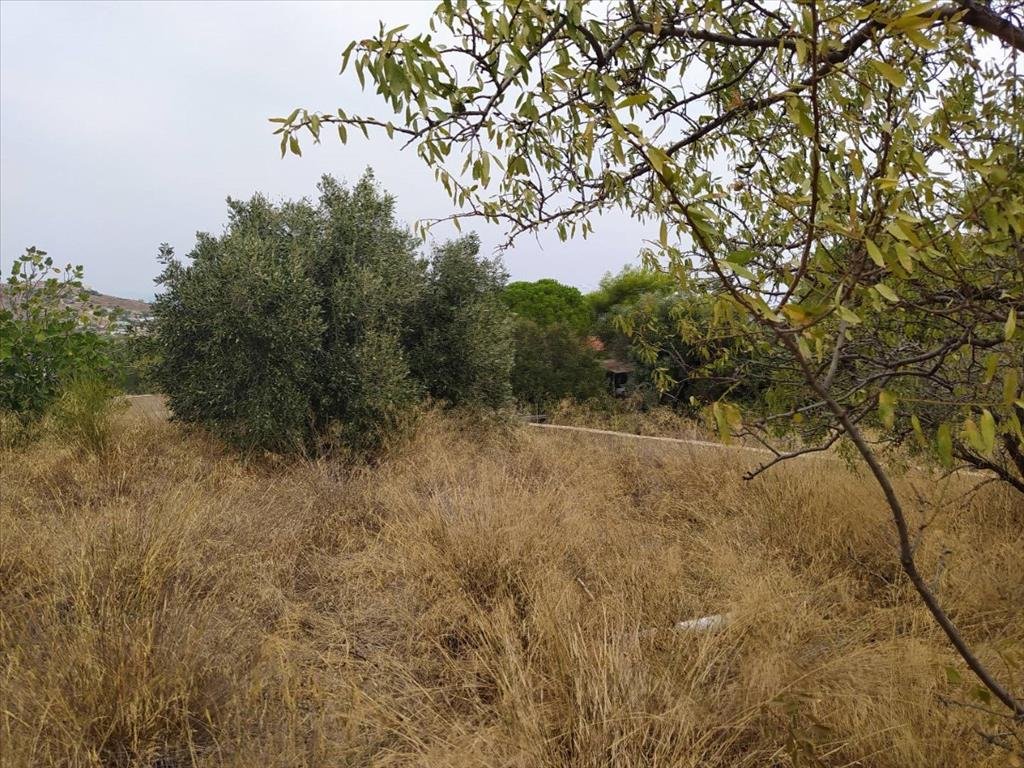 Verkauf Einfamilienhaus 150 m² in Attika