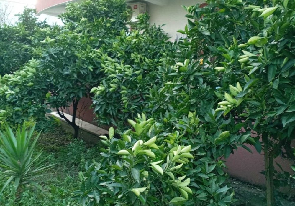 bar: DescriptionBar, bus station area. New one-bedroom apartmentsThe object is urbanizedThe distance to the sea is 2km.View of the cityThe house has its... 