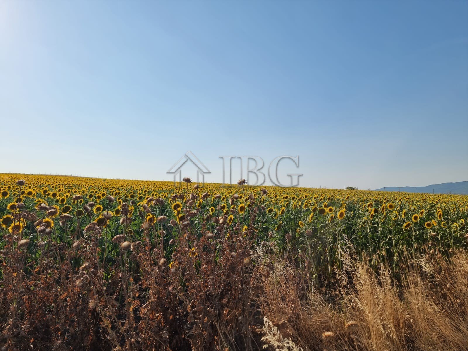  Large Building Plot for Sale in Tunkovo, Burgas Region, Bulgaria<br><br>IBG Real Estates is pleased to offer for sale a spacious regulated plot of...