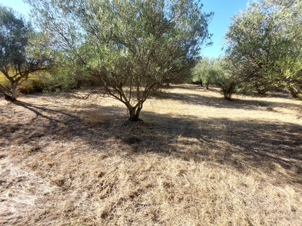 Verkauf Land 3500 m² in den Vororten von Thessaloniki