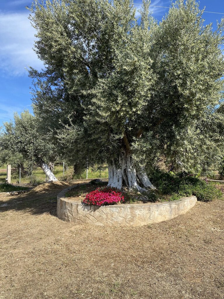 Verkauf Einfamilienhaus 150 m² auf Eubia