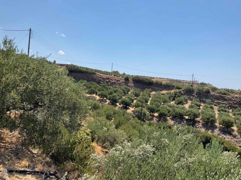 Verkauf Geschaeft 286 m² auf Kreta