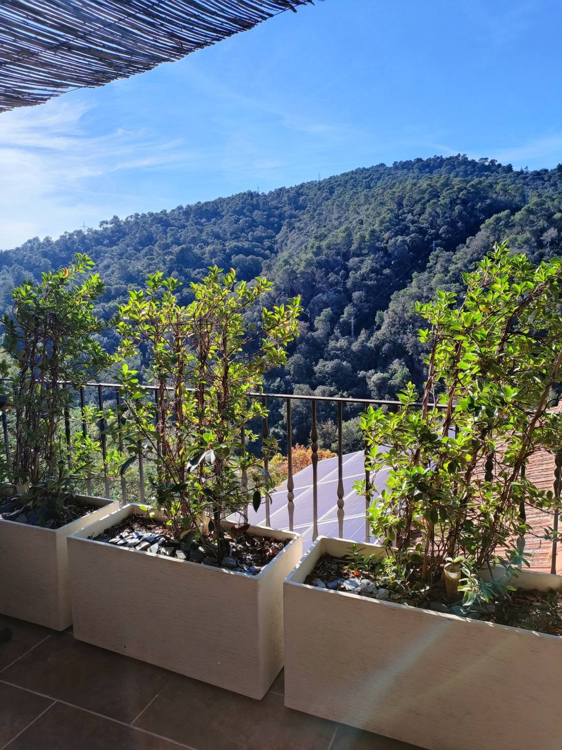 Entdecken Sie diese einzigartige Immobilie in einer privilegierten grünen Umgebung, nur 400 Meter vom S-Bahnhof Baixador de Vallvidrera entfernt. Perf