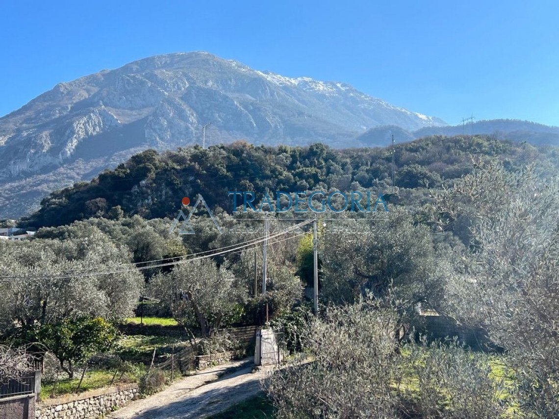 <p></p><p>Four new villas in an olive grove in the city of Bar</p><p> The area of each villa is 183m2</p><p> Land area 490m2</p><p> An object for s...