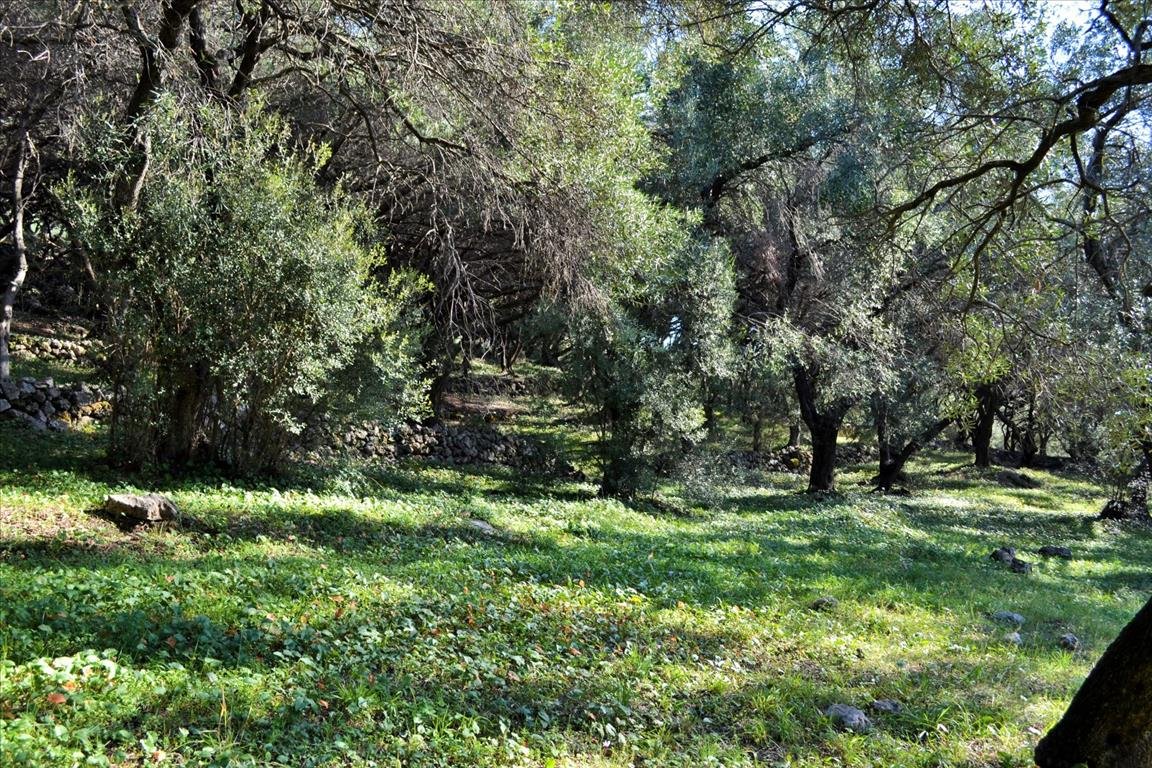 Verkauf Land 7606 m² auf Korfu