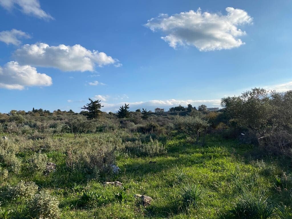 Verkauf Land 6500 m² auf Kreta