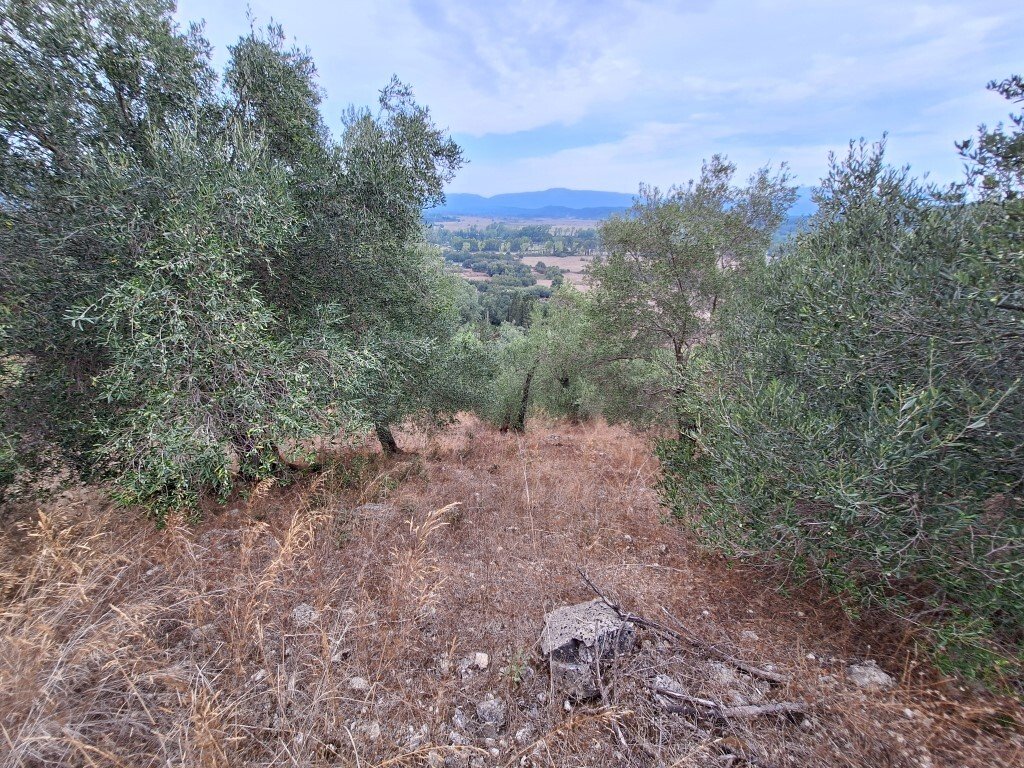 Verkauf Land 13000 m² auf Korfu