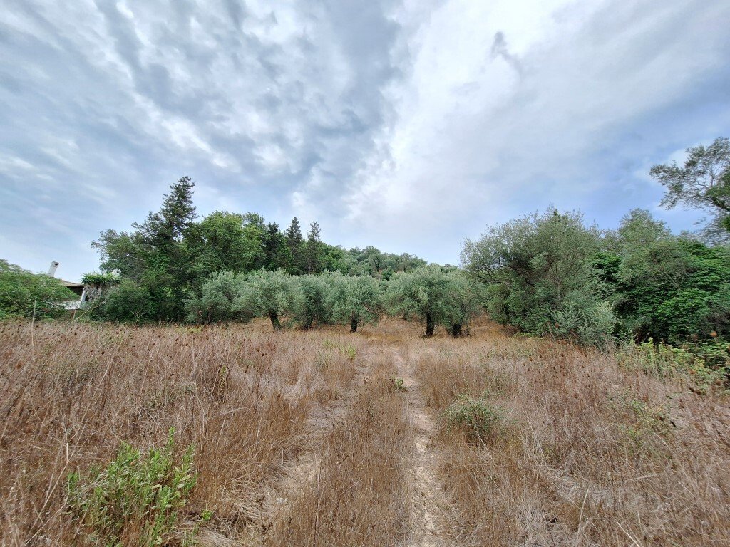 Verkauf Land 13000 m² auf Korfu
