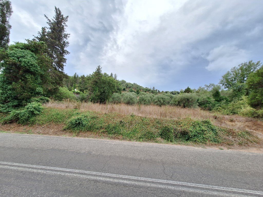 Verkauf Land 13000 m² auf Korfu