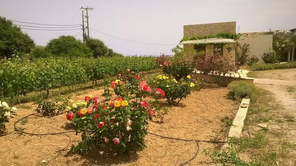 Verkauf Geschaeft 388 m² auf den Kykladen