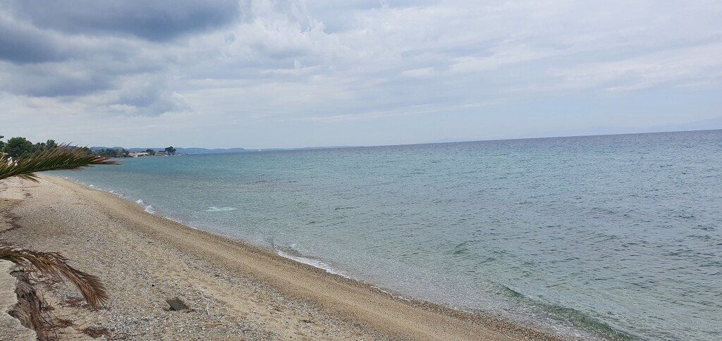 Verkauf Land 12000 m² auf Kassandra (Chalkidiki)